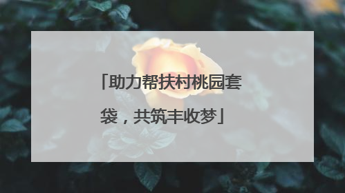 助力帮扶村桃园套袋，共筑丰收梦