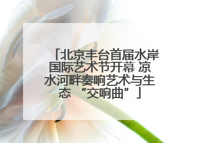 北京丰台首届水岸国际艺术节开幕 凉水河畔奏响艺术与生态 “交响曲”