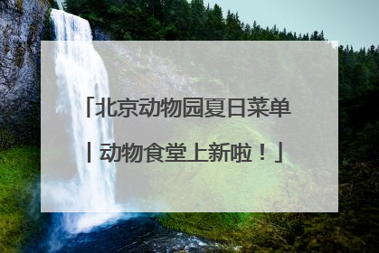 北京动物园夏日菜单丨动物食堂上新啦！