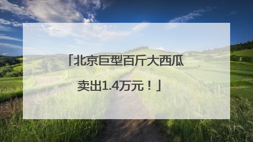 北京巨型百斤大西瓜卖出1.4万元！