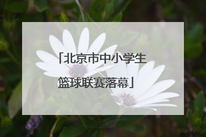 北京市中小学生篮球联赛落幕