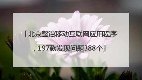 北京整治移动互联网应用程序，197款发现问题388个