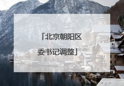 北京朝阳区委书记调整