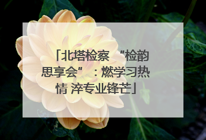 北塔检察 “检韵思享会”：燃学习热情 淬专业锋芒