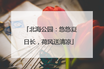 北海公园：悠悠夏日长，荷风送清凉