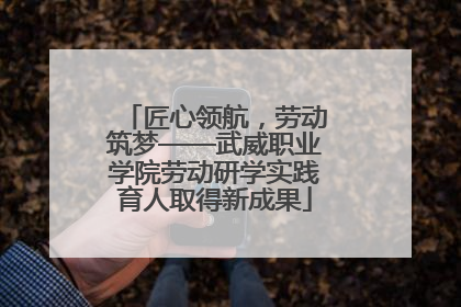 匠心领航，劳动筑梦——武威职业学院劳动研学实践育人取得新成果