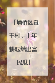 埇桥区夏王村：十年耕耘结出富民瓜
