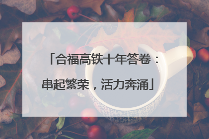 合福高铁十年答卷：串起繁荣，活力奔涌
