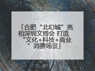 合肥“北幻城”亮相深圳文博会 打造“文化+科技+商业”消费场景