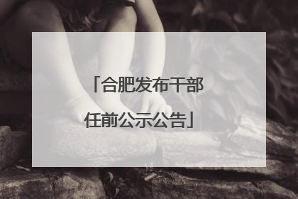 合肥发布干部任前公示公告