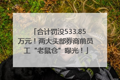 合计罚没533.85万元！两大头部券商前员工“老鼠仓”曝光！