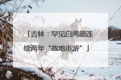 吉林：罕见白鸬鹚连续两年“故地重游”