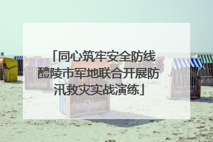 同心筑牢安全防线 醴陵市军地联合开展防汛救灾实战演练