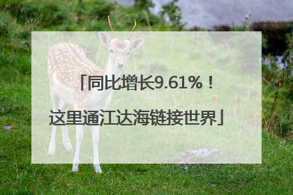 同比增长9.61%！这里通江达海链接世界