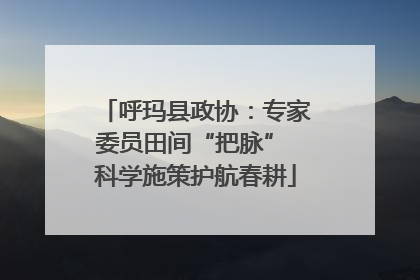 呼玛县政协：专家委员田间“把脉” 科学施策护航春耕