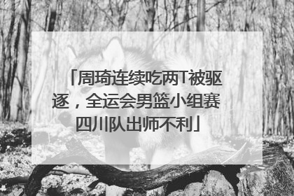 周琦连续吃两T被驱逐，全运会男篮小组赛四川队出师不利