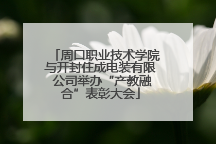 周口职业技术学院与开封住成电装有限 公司举办“产教融合”表彰大会