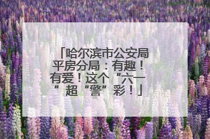 哈尔滨市公安局平房分局：有趣！有爱！这个“六一”超“警”彩！