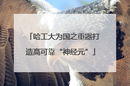 哈工大为国之重器打造高可靠“神经元”