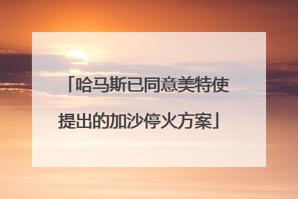 哈马斯已同意美特使提出的加沙停火方案