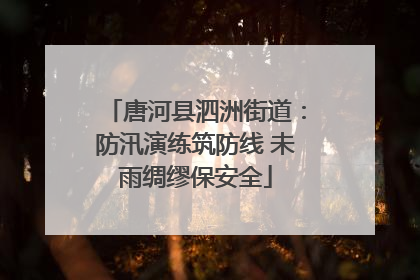 唐河县泗洲街道：防汛演练筑防线 未雨绸缪保安全