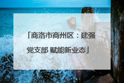 商洛市商州区：建强党支部 赋能新业态