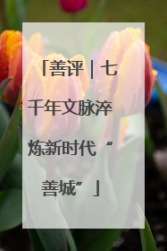 善评｜七千年文脉淬炼新时代“善城”