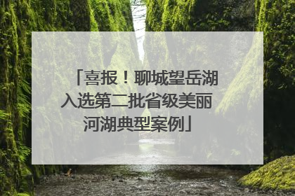 喜报！聊城望岳湖入选第二批省级美丽河湖典型案例