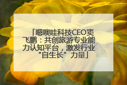 嗯噢哇科技CEO窦飞鹏：共创旅游专业能力认知平台，激发行业“自生长”力量