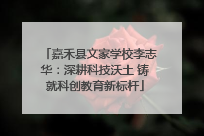 嘉禾县文家学校李志华：深耕科技沃土 铸就科创教育新标杆