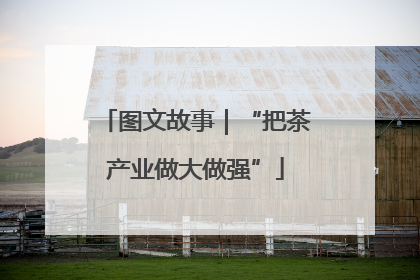 图文故事｜“把茶产业做大做强”