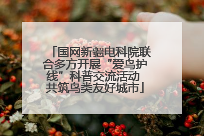 国网新疆电科院联合多方开展“爱鸟护线”科普交流活动 共筑鸟类友好城市