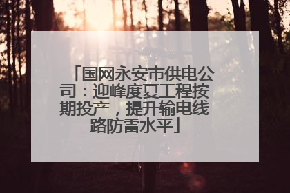 国网永安市供电公司：迎峰度夏工程按期投产，提升输电线路防雷水平
