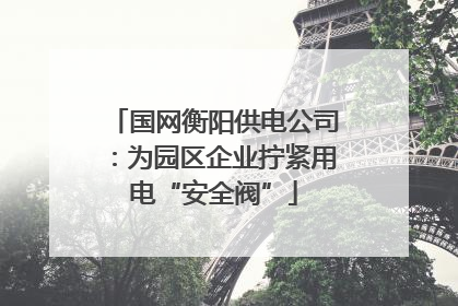 国网衡阳供电公司：为园区企业拧紧用电“安全阀”