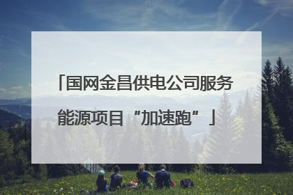国网金昌供电公司服务能源项目“加速跑”
