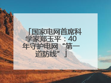 国家电网首席科学家郑玉平：40年守护电网“第一道防线”