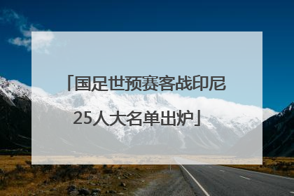 国足世预赛客战印尼25人大名单出炉