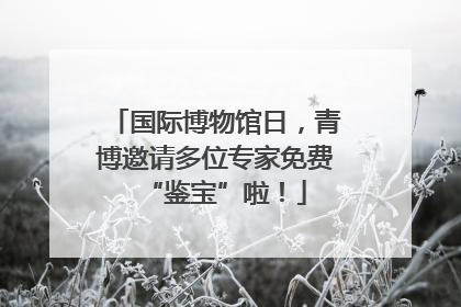 国际博物馆日，青博邀请多位专家免费“鉴宝”啦！