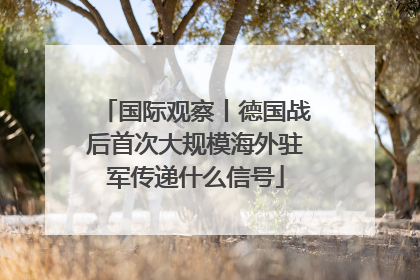 国际观察丨德国战后首次大规模海外驻军传递什么信号