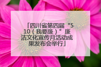 四川省第四届“510（我要廉）”廉洁文化宣传月活动成果发布会举行