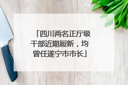 四川两名正厅级干部近期履新，均曾任遂宁市市长