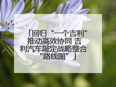 回归“一个吉利” 推动高效协同 吉利汽车敲定战略整合“路线图”