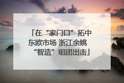 在“家门口”拓中东欧市场 浙江余姚“智造”组团出击