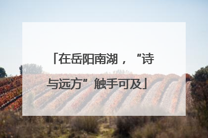 在岳阳南湖，“诗与远方”触手可及