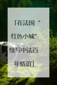 在法国“红色小城”续写中法百年情谊
