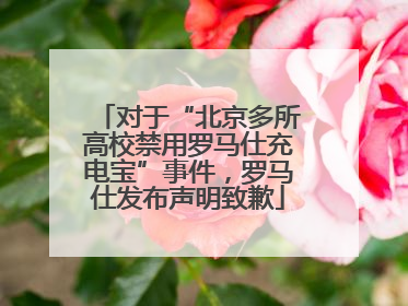 对于“北京多所高校禁用罗马仕充电宝”事件，罗马仕发布声明致歉