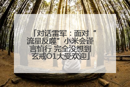 对话雷军：面对“流量反噬”小米会谨言慎行 完全没想到玄戒O1大受欢迎