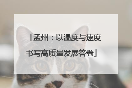 孟州：以温度与速度书写高质量发展答卷