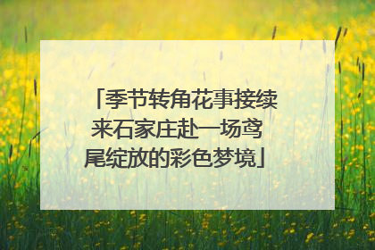 季节转角花事接续 来石家庄赴一场鸢尾绽放的彩色梦境