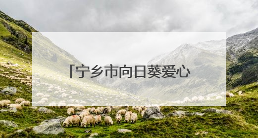 宁乡市向日葵爱心会：十年助学让近三百名学子圆梦大学